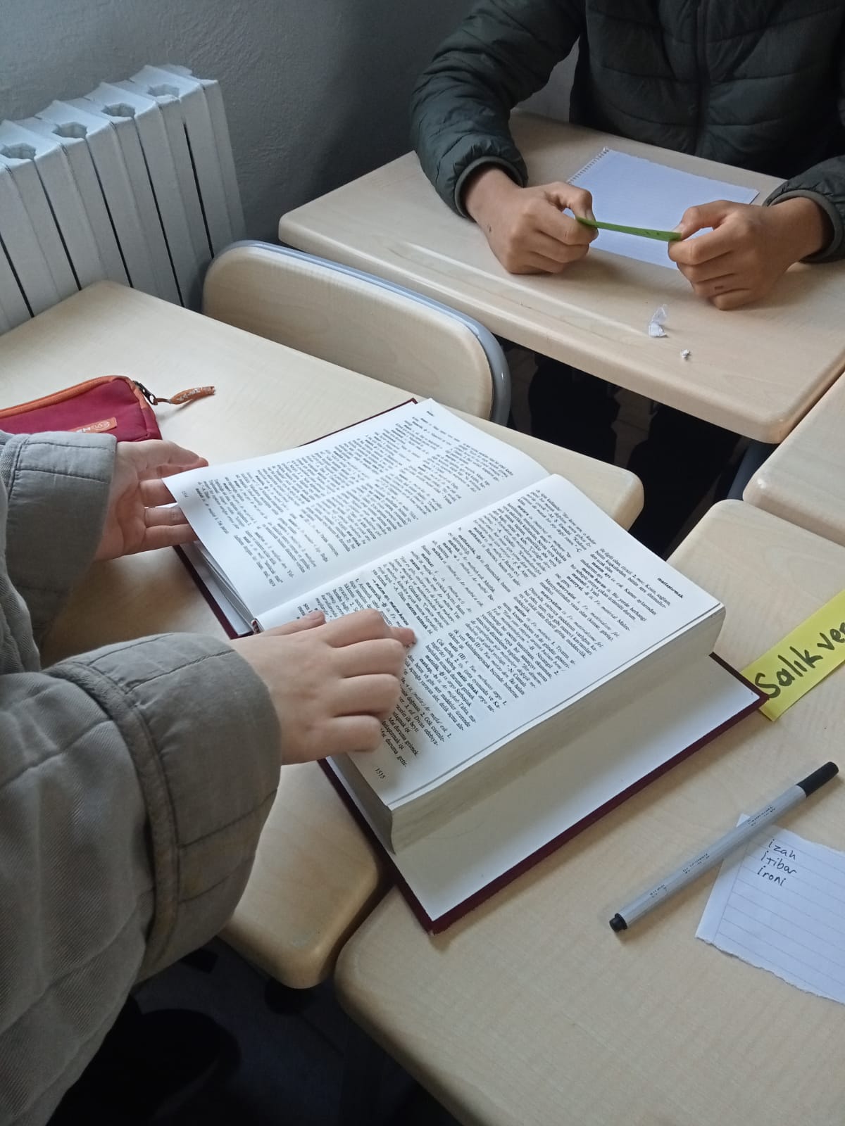 '' Dilimizin Zenginlikleri Projesi''